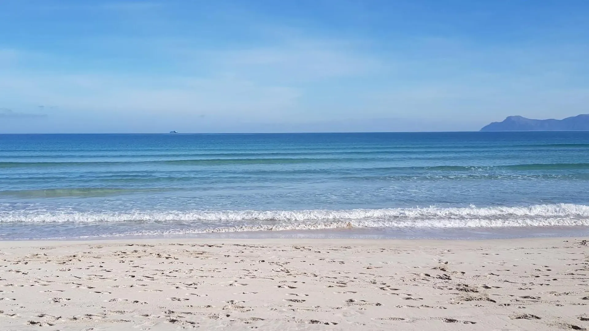 Holiday home Ideal Property Mallorca - Adelfa Port de Alcudia